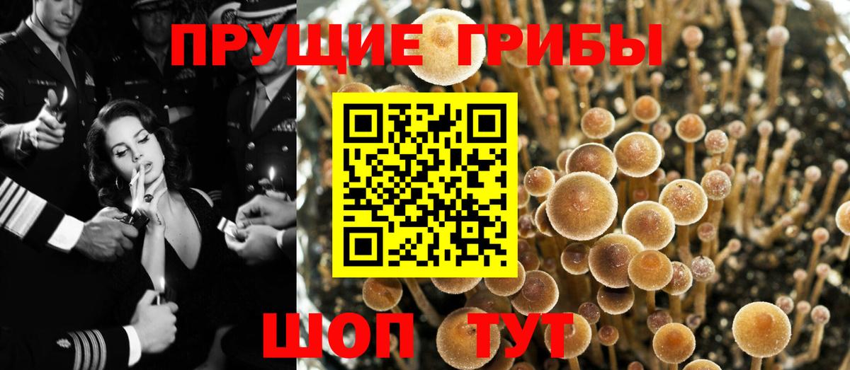 Добрянка  Галлюциногенные грибы GOLDEN TEACHER  Псилоцибиновые грибы ЛСД  Вход с VPN 