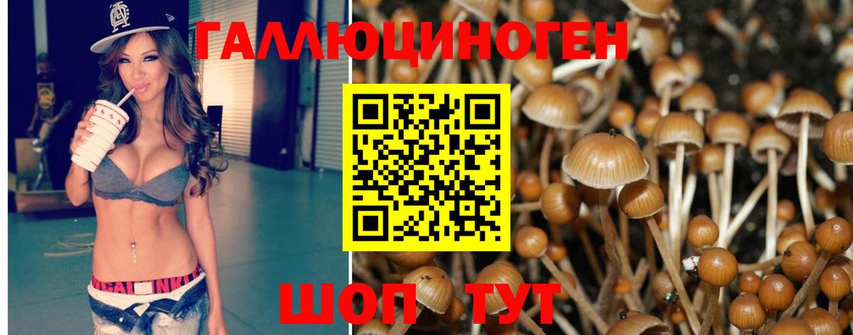Псилоцибиновые грибы Psilocybine cubensis Добрянка